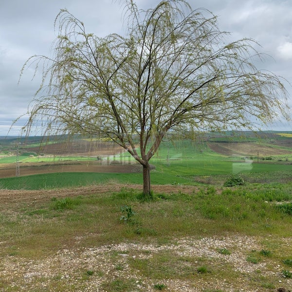 Foto scattata a Eker OBA Çiftlik da Ertugrul S. il 4/20/2021