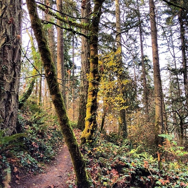 Hendricks Park South Eugene 5 tips from 490 visitors