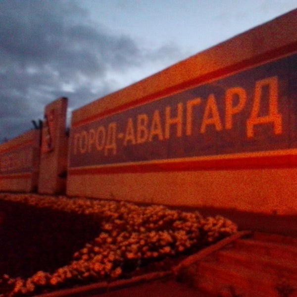 Стелла березники