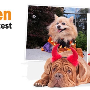 Win A $25 Gift Card For Halloween! Enter our Pet Halloween Costume Contest here: http://a.pgtb.me/MJQ28M