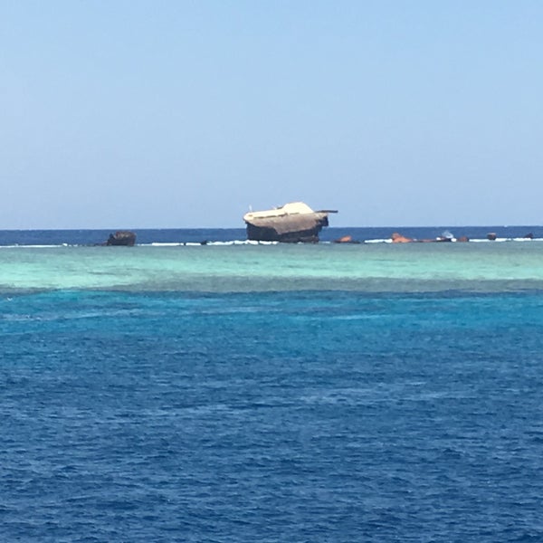 Египет красное море тиран Айленд 4 звезд