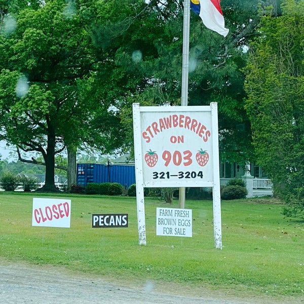 Photos at Strawberries on 903 4064 NC 903 S