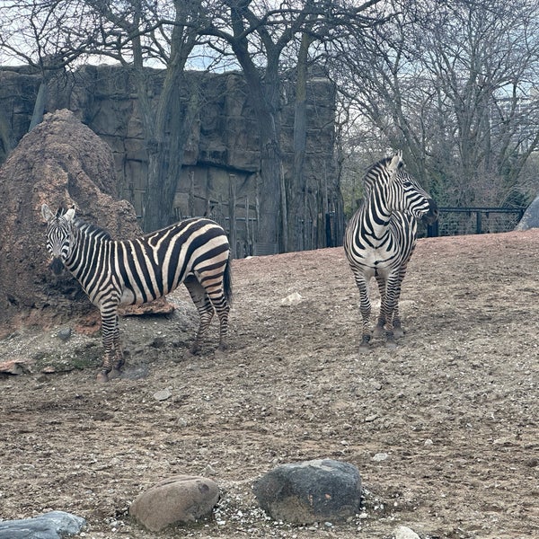 Foto tirada no(a) Lincoln Park Zoo por Shane B. em 4/12/2024