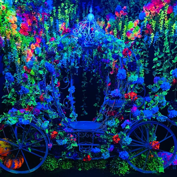 Dark Mansion 3d Glow In The Dark Museum Art Museum In George Town