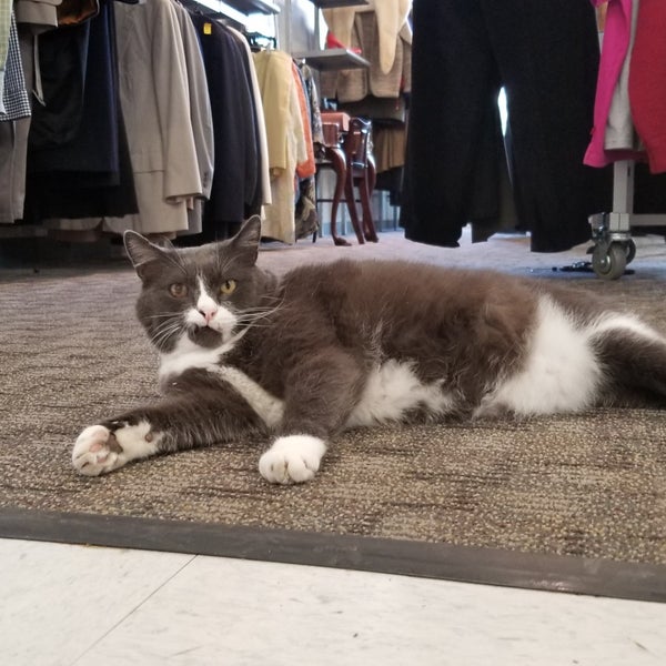 William Temple House Thrift Store Vintage and Thrift Store