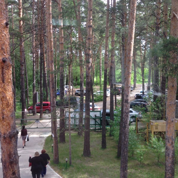 Парк отель лесные дали. Гостиница лесные дали барнаул. Гостиница лесные дали барнаул. Парк отеле лесные дали. Лесные дали барнаул бассейн.