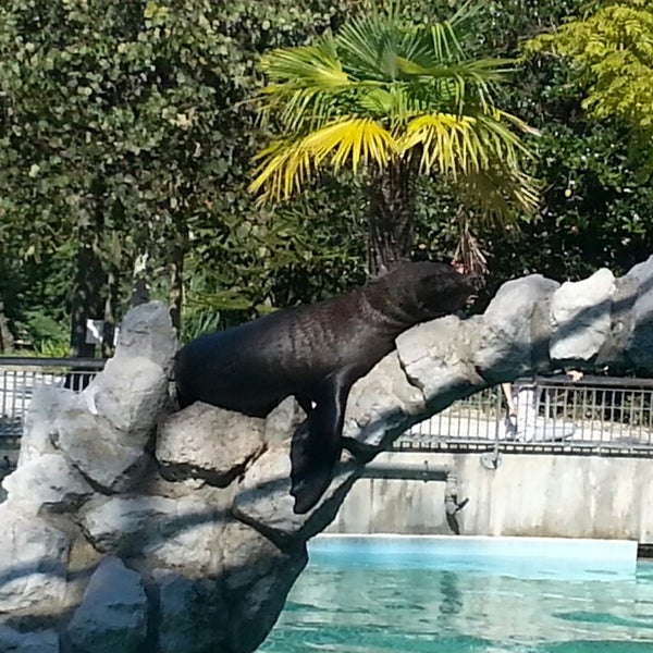Foto tirada no(a) Parco Zoo Punta Verde por Emanuela D. em 10/4/2014