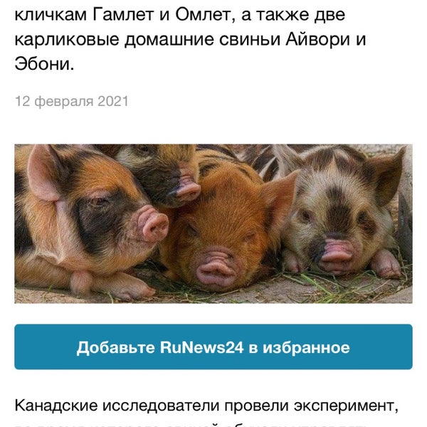 Ветеринарная клиника в аршинцево. Ветлечебница керчь. Ветеринарная клиника югорск. Ветлечебница керчь пролетарская. Ноэль фицпатрик ветеринар рост.