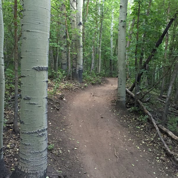 Trail Park