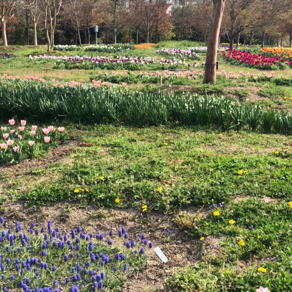 Photos At 馬見丘陵公園 花見茶屋