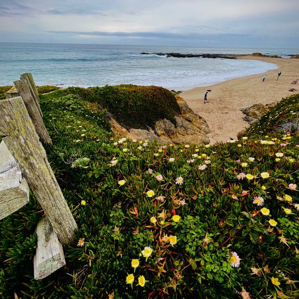 Fotos bei Bean Hollow State Beach Strand in Pescadero