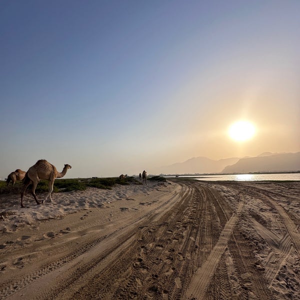 Photo taken at Al Rams Beach by Abdulla on 5/29/2023