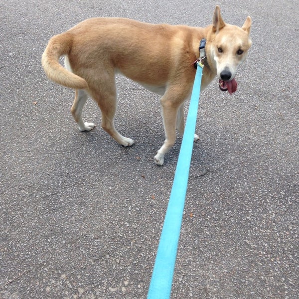 Photos at Mill Creek Pet Food/Grooming Center Southeastern Columbia 0 tips