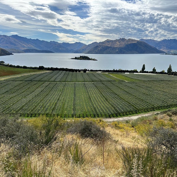 Rippon Vinyard & Winery Wanaka, Otago