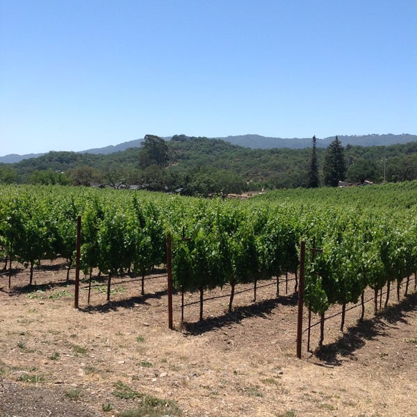 Photo prise au Lasseter Family Winery par Out In The Vineyard le6/15/2013