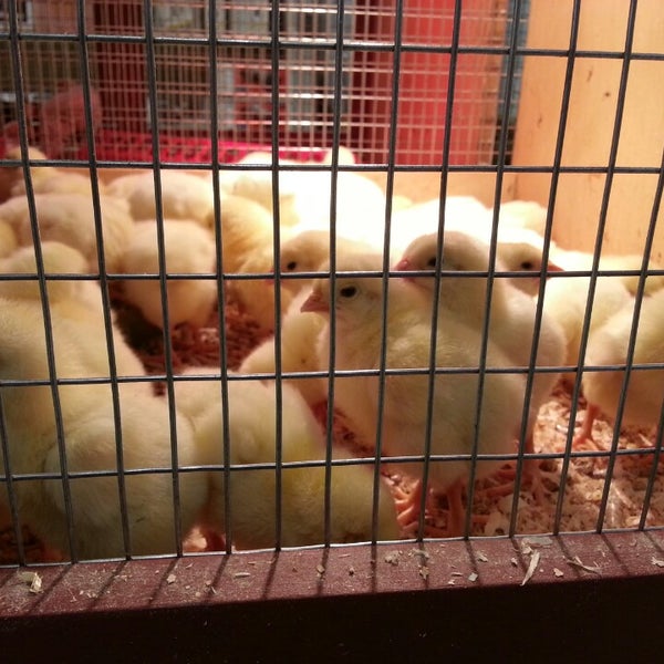 Jax Fort Collins Ranch & Home Shoe Store