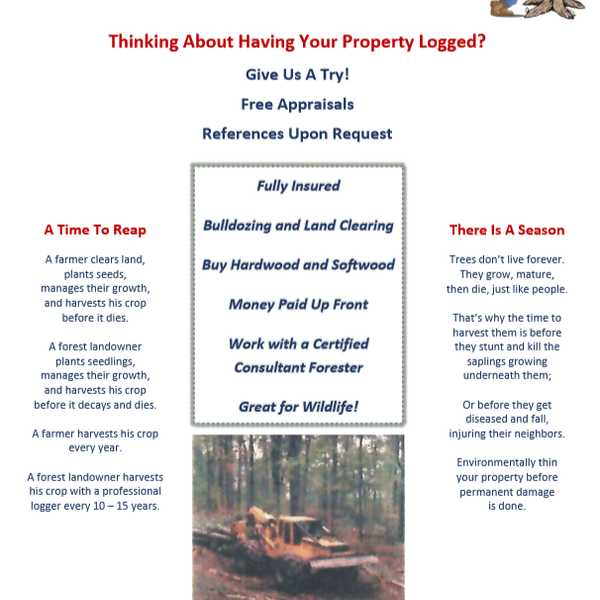 Beretz Lumber and Logging Fireworks Store