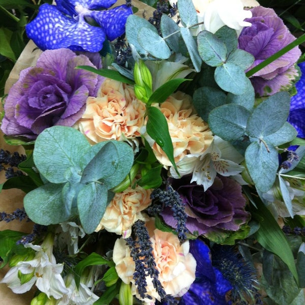 Сойка флаверс ул захарченко 12 отзывы. Полянка с птичками. Сойка флаверс ул захарченко 12 отзывы. Flower joy псковская 7. Европа плюс пермь голодные игры.