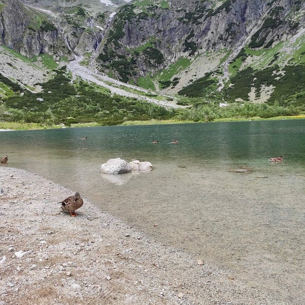Озеро Медвежье Плесо