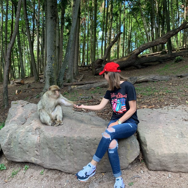 Photos At Montagne Des Singes Zoo