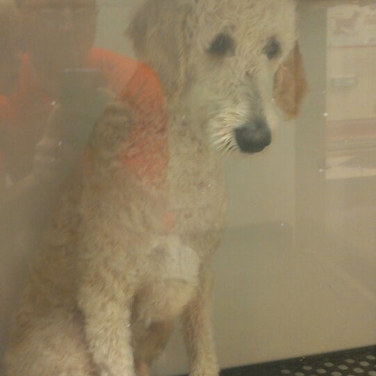 IncrediPet Pet Supplies Store