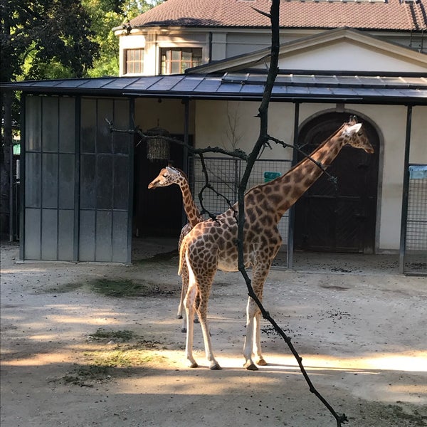 Photo taken at Zoo Basel by Mar on 9/15/2023