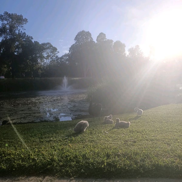 Duck Pond Markets Gympie - Gympie, QLD