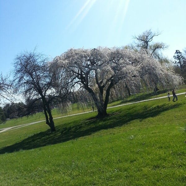 Photos at Rose Garden Park in Westside