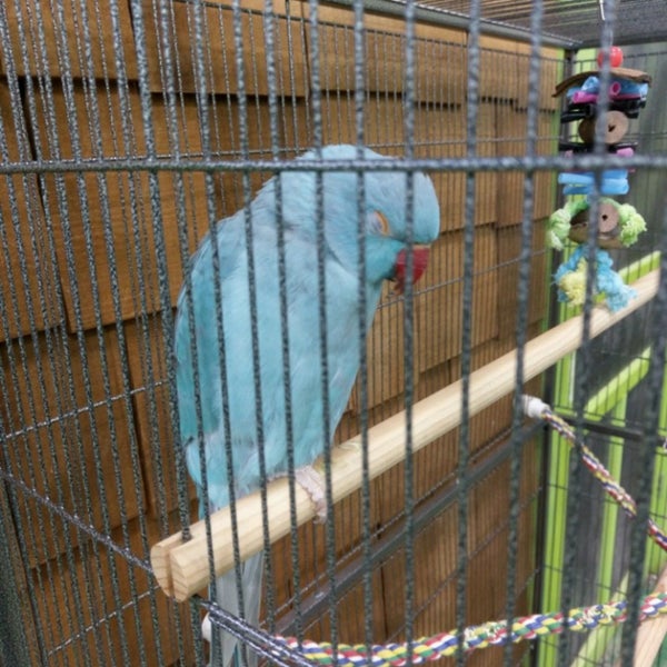 Animart - Pet Supplies Store in Madison