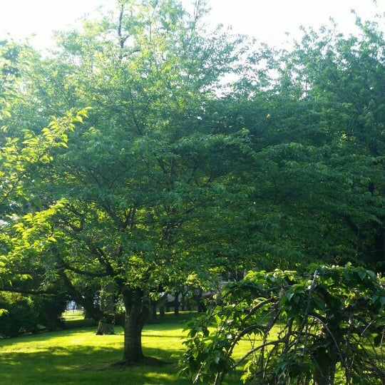 Flatlands Brooklyn, NY