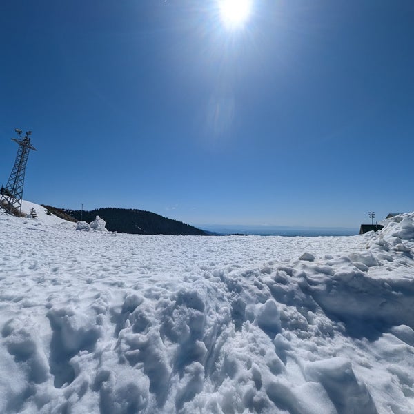 Photo taken at Grouse Mountain by Dan L. on 5/13/2023