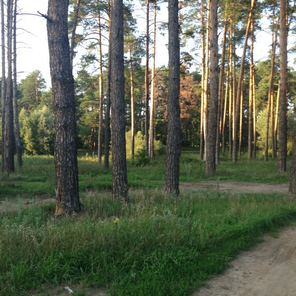 Парк высокая гора. Поселок высокая гора татарстан. Парк заказанье на высокой горе. Высокогорский район село высокая гора. Парк высокая гора.