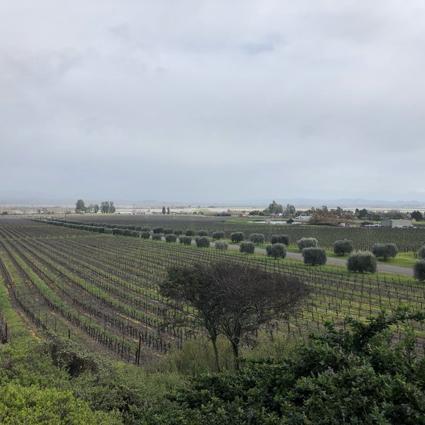 2/16/2019 tarihinde Kim P.ziyaretçi tarafından Gloria Ferrer Caves &amp; Vineyards'de çekilen fotoğraf