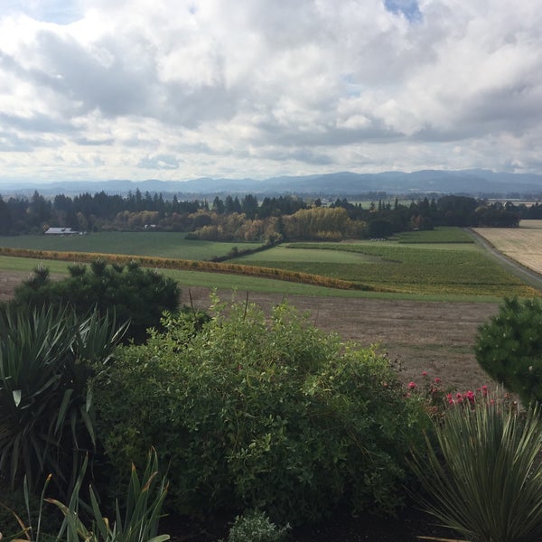 Photo taken at Anne Amie Vineyards by Taylor W. on 10/17/2015