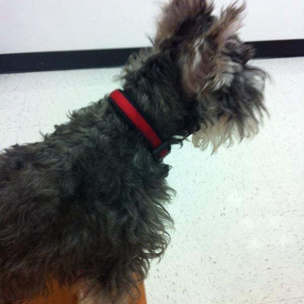Photos At Banfield Pet Hospital Veterinarian In Winter Garden Photo Taken At Banfield Pet Hospital By Lynn On 4 1 2018