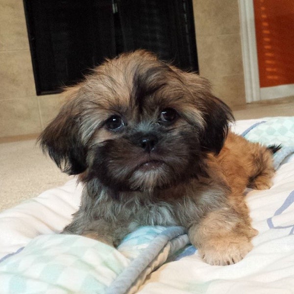 Big Leroy's Auto Parts & Salvage 11501 west Montgomery road