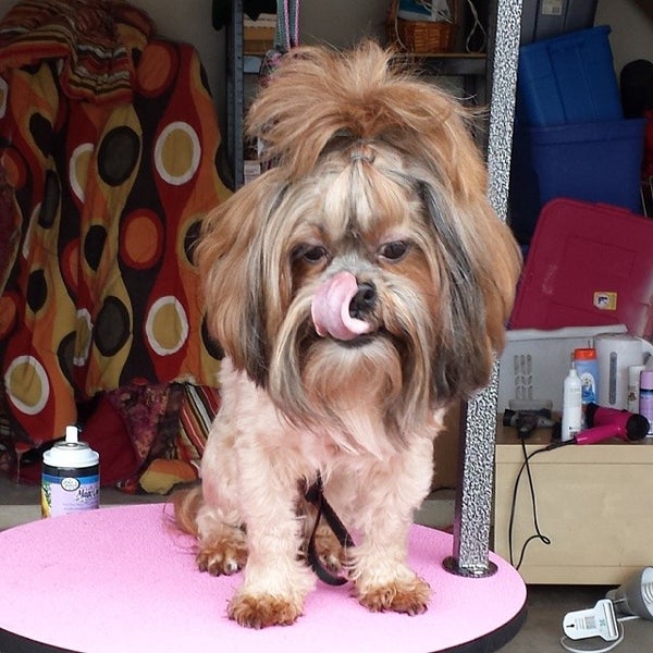 Big Leroy's Auto Parts & Salvage 11501 west Montgomery road