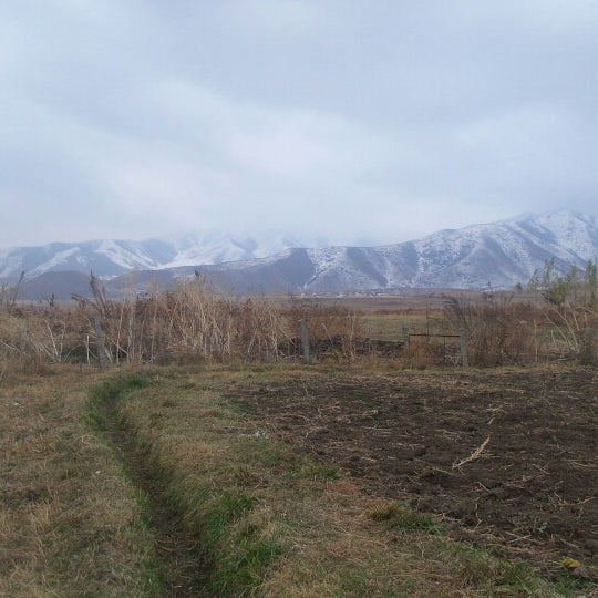 Таша село. Таша село. Таша село. Деревня таш асты гафурийский. Таша село.