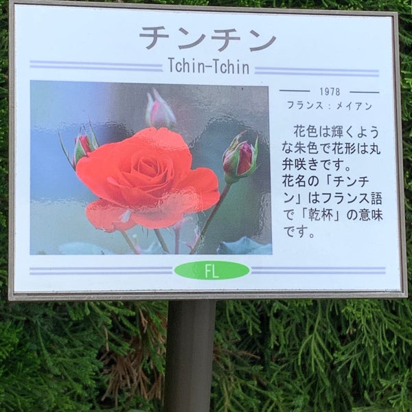 Photos At 谷津バラ園 9 Tips From 386 Visitors