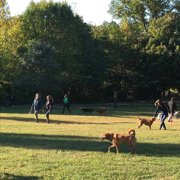 Photos at Prospect Park Dog Beach Prospect Park 8 tips from 1169 visitors