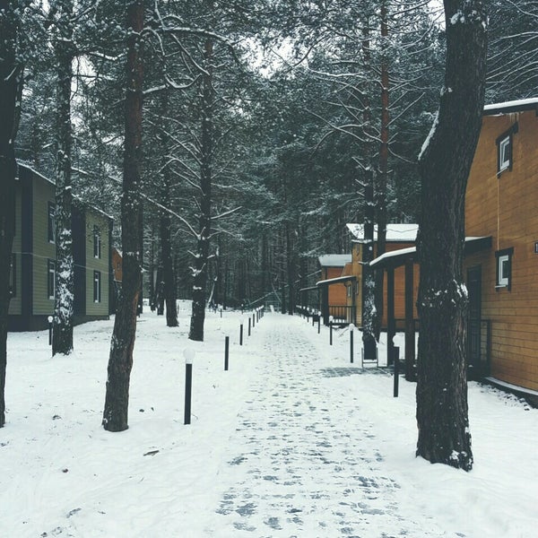 Санаторий заполярье алексин. Санаторий заполярье алексин. Пионерский лагерь заполярье алексин. Пионерский лагерь заполярье алексин. Заполярье алексин.