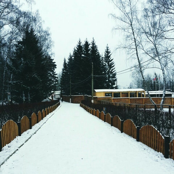Заполярье алексин. Лагерь заполярье алексин. "заполярье" детский оздоровительный лагерь. Лагерь солнечный тульская область алексинский район. Заполярье алексин.