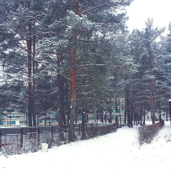 Пионерский лагерь заполярье геленджик. Пионерский лагерь заполярье тульская область. Алексин тула лагерь заполярье. Алексин заполярье столовая. Лагерь заполярье тульская область.