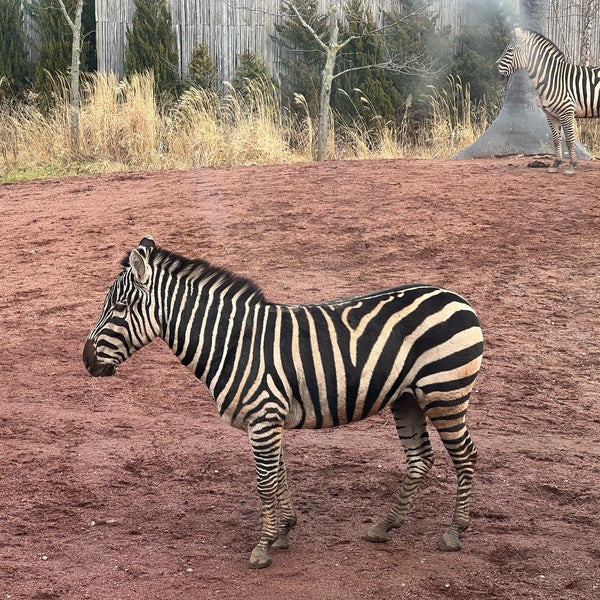 Foto diambil di Lincoln Park Zoo oleh Majid —. pada 12/30/2023
