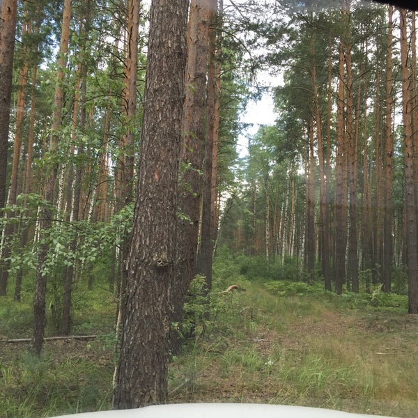 Купить Квартиру На Пыре Нижегородской Области
