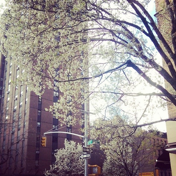 Photos at Hotel Alexander New York Upper West Side New York, NY