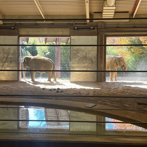 Photo taken at Smithsonian’s National Zoo by Kathy O. on 11/14/2023