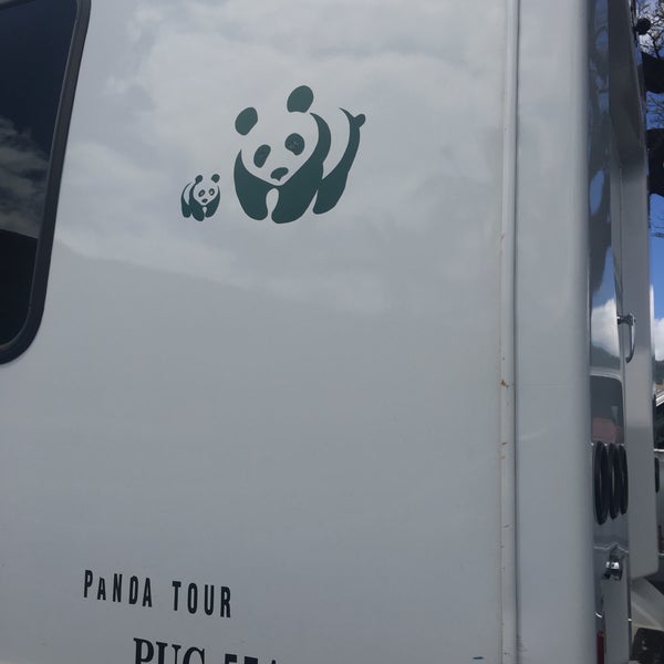 Foto scattata a Panda Travel ® da Koreankitkat il 4/9/2017