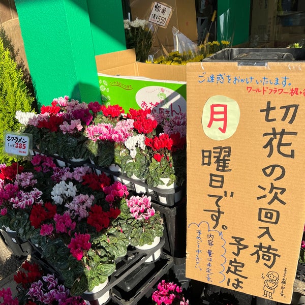 ワールドフラワー 川崎市の生花店