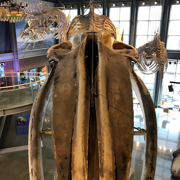 Foto tomada en New Bedford Whaling Museum  por Carlos M. el 11/20/2016
